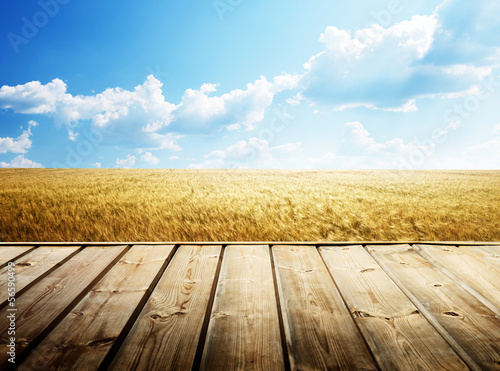 Photo: wooden floor and summer wheat field wooden floor and summer wheat field
