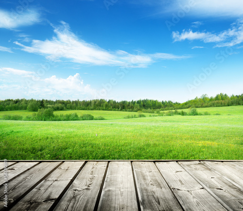 Photo: field of grass and perfect sky field of grass and perfect sky