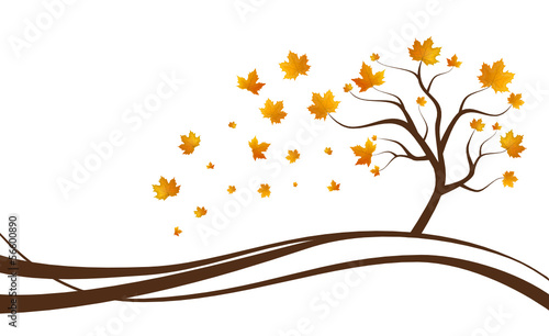 Vector: Herbst Baum Laub Herbst Baum Laub