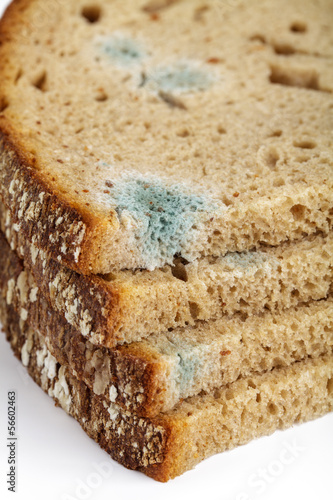 Photo: Schimmeliges Graubrot Schimmeliges Graubrot