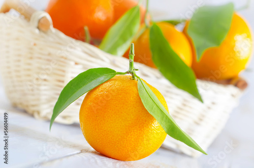 Photo: mandarins mandarins
