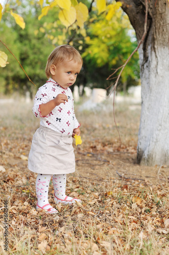 Photo: toddler in fall toddler in fall