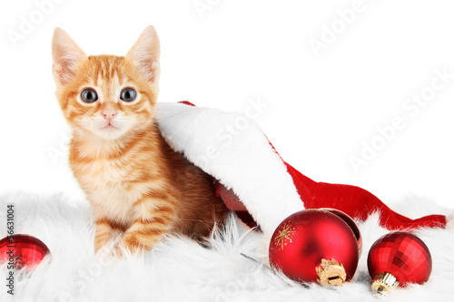 Photo: Cute little red kitten in Santa hat isolated on white Cute little red kitten in Santa hat isolated on white