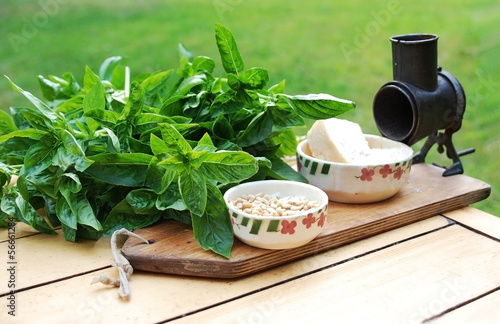 Photo: preparing pesto with fresh basil preparing pesto with fresh basil