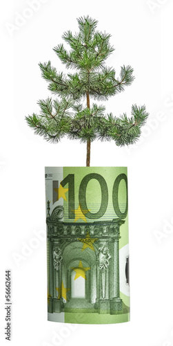 Photo: tree growing from euro bill tree growing from euro bill