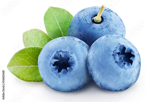 Photo: Blueberries with leaves. File contains clipping paths. Blueberries with leaves. File contains clipping paths.