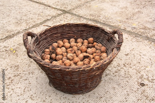 Photo: Walnuts in a basket (Orasi u košari) Walnuts in a basket (Orasi u košari)