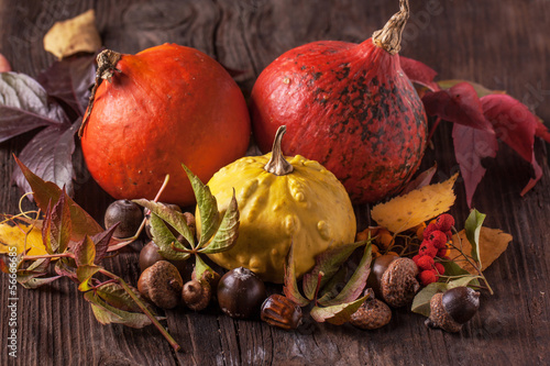 Photo: Pumpkins with acorns and leaves Pumpkins with acorns and leaves