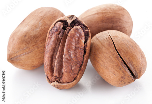 Photo: Pecan nuts. Pecan nuts.
