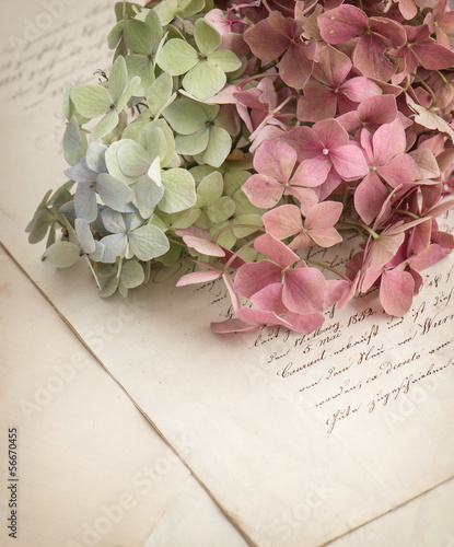 Photo: old love letters and garden flowers old love letters and garden flowers