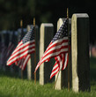 Some Gave All Some Gave All