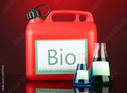 Photo: Bio fuels in canister and vials on red background Bio fuels in canister and vials on red background