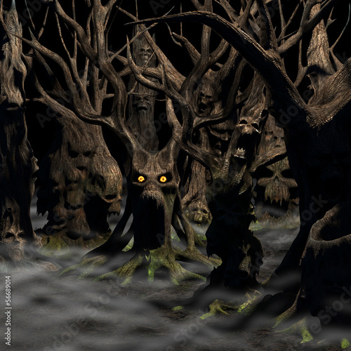 Illustration: Haunted Forest Haunted Forest