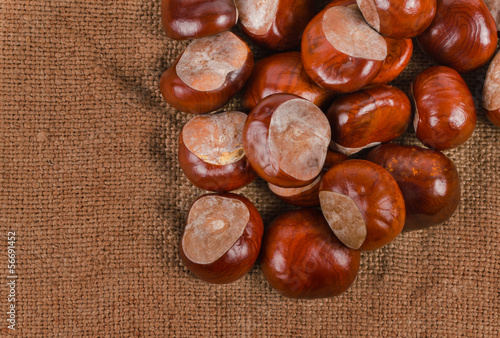 Photo: Fresh whole autumn chestnuts Fresh whole autumn chestnuts