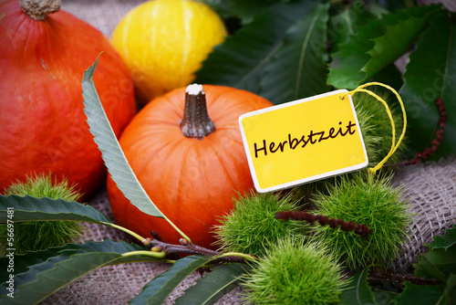 Photo: Herbstzeit Herbstzeit