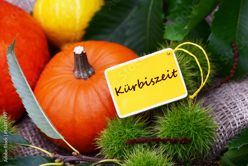 Photo: Kürbiszeit Kürbiszeit