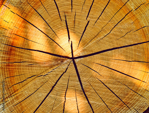 Photo: wooden background wooden background