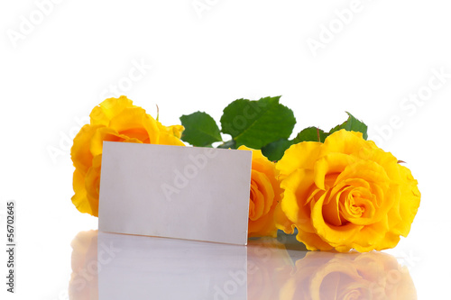 Photo: yellow roses yellow roses