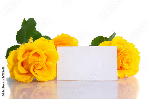 Photo: yellow roses yellow roses