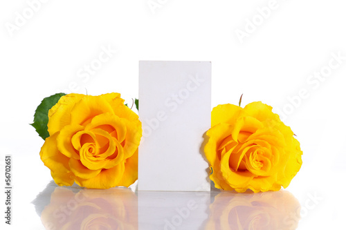 Photo: yellow roses yellow roses