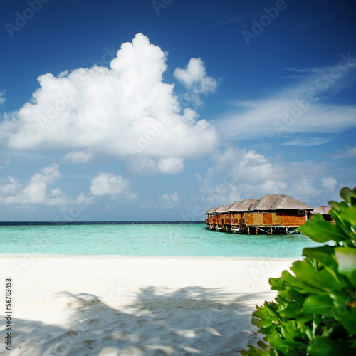 Photo: tropical beach tropical beach