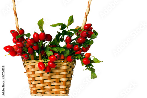 Photo: Rose hips in the wicker basket Rose hips in the wicker basket
