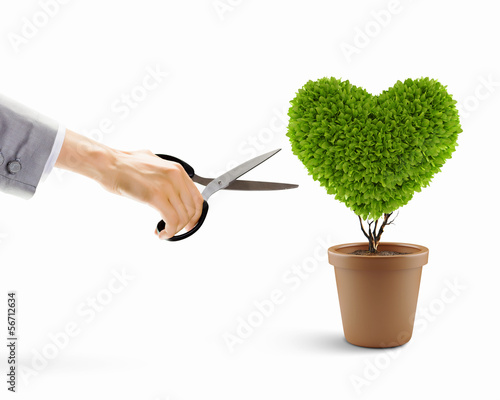 Photo: Heart symbol Heart symbol