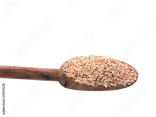 Photo: Sesame Seeds Sesame Seeds