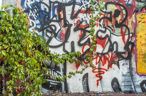 Photo: graffito natura graffito natura