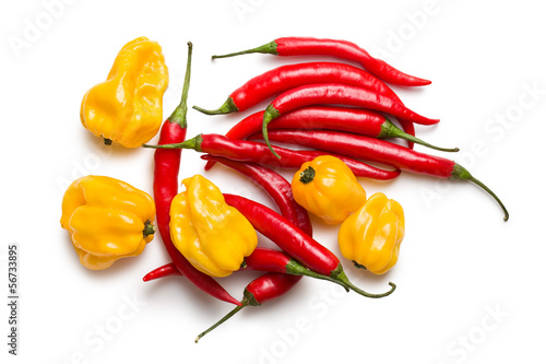 Photo: red chili peppers and yellow habanero red chili peppers and yellow habanero