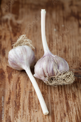 Photo: Garlic Garlic