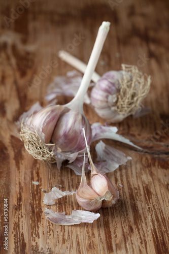 Photo: Garlic Garlic