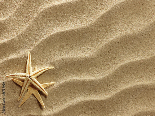 Photo: Sea shell on sand Sea shell on sand