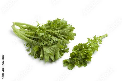 Photo: Fresh Mizuna Fresh Mizuna