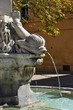 AIX EN PCE : FONTAINE DES QUATRE DAUPHINS (détail) AIX EN PCE : FONTAINE DES QUATRE DAUPHINS (détail)