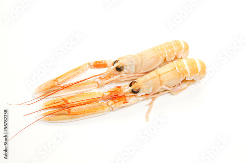 Photo: langoustines langoustines