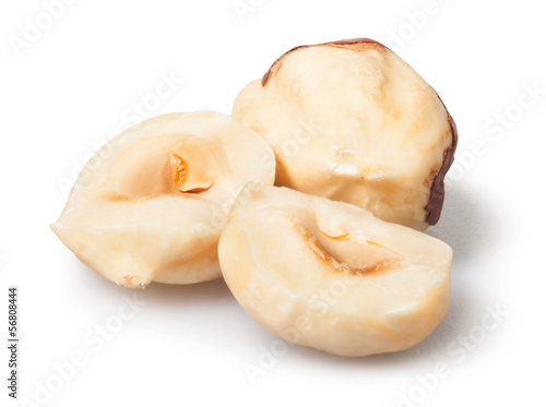 Photo: hazelnut group hazelnut group