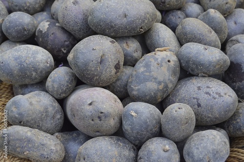 Photo: schwarze Kartoffeln schwarze Kartoffeln
