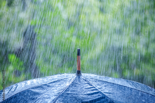 Photo: umbrella umbrella