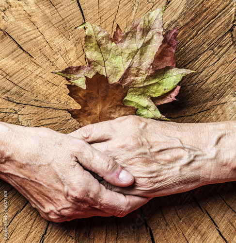 Photo: autumn of life - concept autumn of life - concept