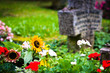 Fresh flowers on grave. Selective focus on sunflower Fresh flowers on grave. Selective focus on sunflower