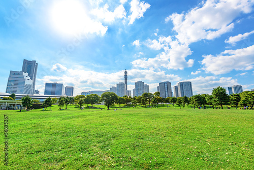 Photo: Landscape grass prospects the Yokohama city buildings Landscape grass prospects the Yokohama city buildings