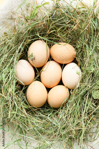 Photo: fresh eggs in a nest of hay, top view fresh eggs in a nest of hay, top view