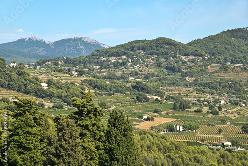Photo: Vignoble de Bandol, massif de la Sainte Baume, Frande Vignoble de Bandol, massif de la Sainte Baume, Frande