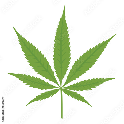 Vector: Vector cannabis leaf. Marijuana. Vector cannabis leaf. Marijuana.