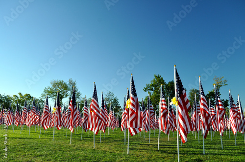 Photo: Flags Flags