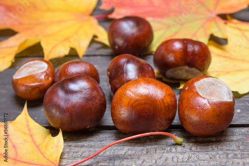 Photo: Kastanien und Herbstblätter Kastanien und Herbstblätter