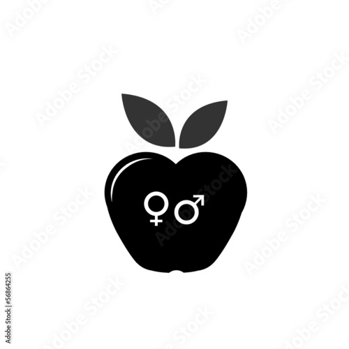 Illustration: Masculin / Féminin Masculin / Féminin