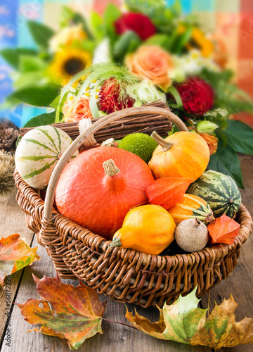 Photo: Herbst - Dekoration Herbst - Dekoration