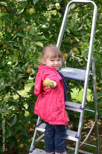 Photo: pomme dans la main pomme dans la main
